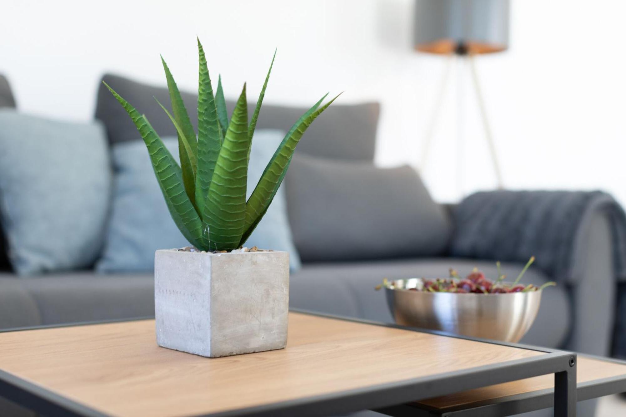 Apartments Empress Mimice Ngoại thất bức ảnh